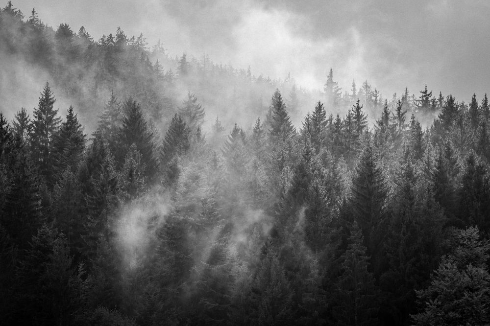 Photograph by Pavel Rabas