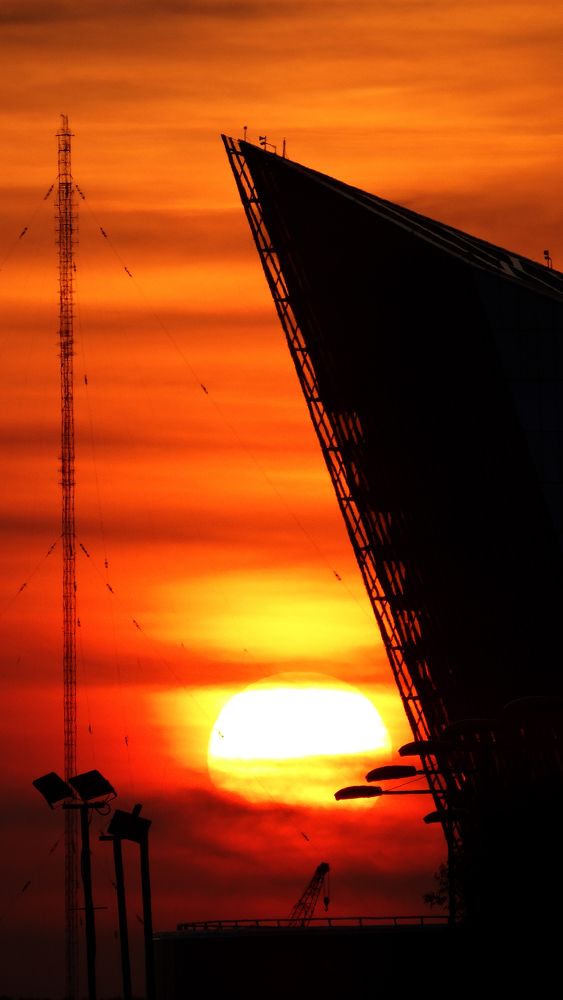 Photo #11629542