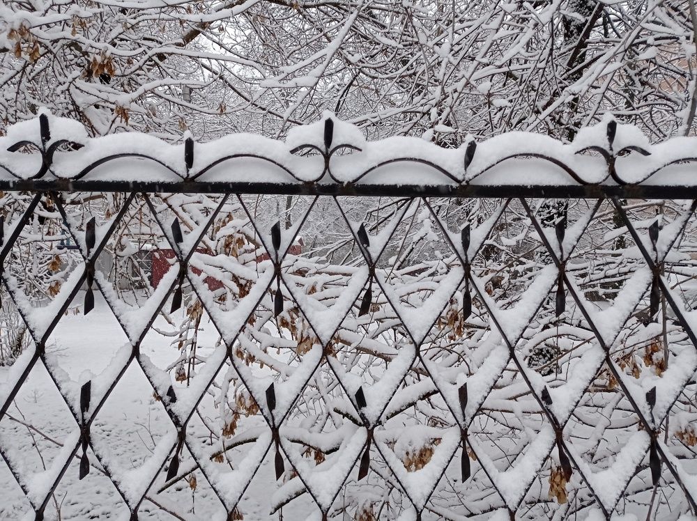 Photograph by Ирина Марченко