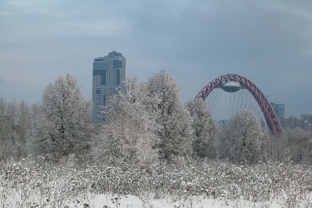 Photograph by Владислав Лопатов