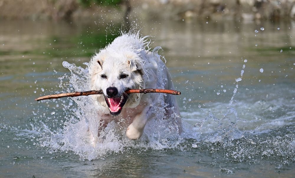 Photograph by Светлана Ивановна