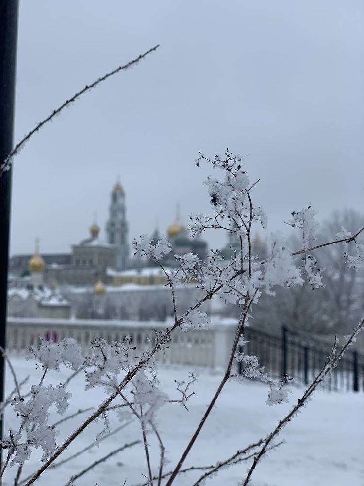 Фотография автора Виктория Ляпина