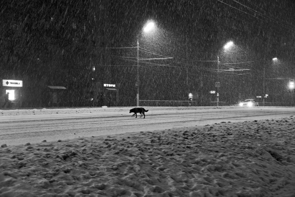 Зимняя дорога