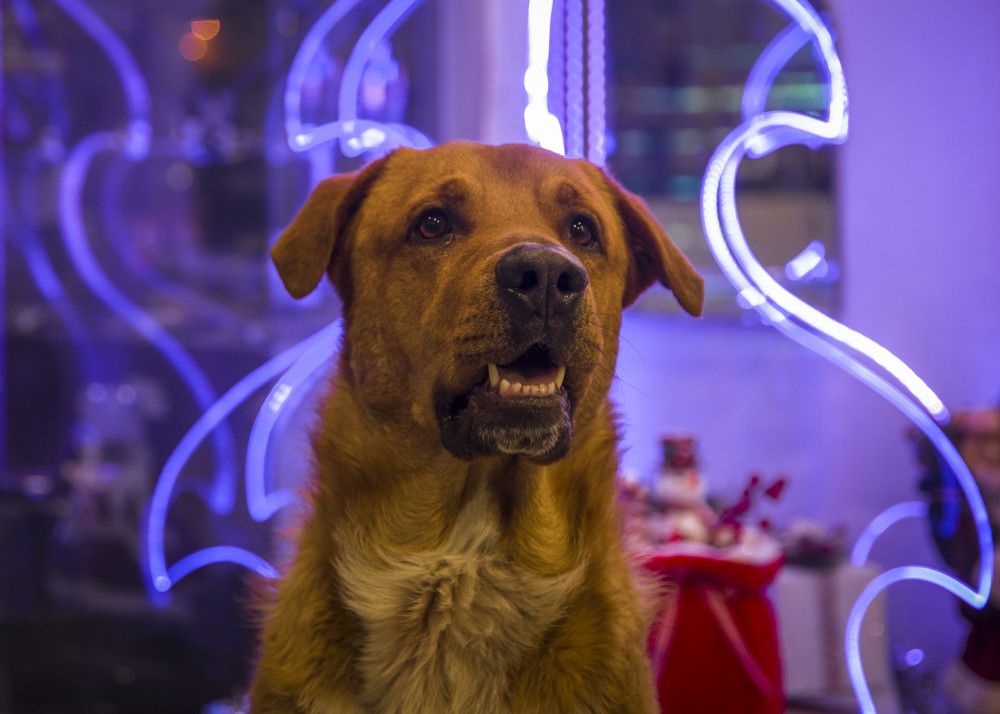 Photograph by Alexandros Melidis