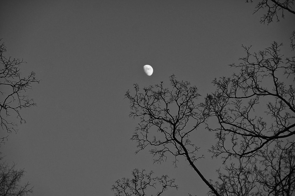 Photograph by Виктория Трач