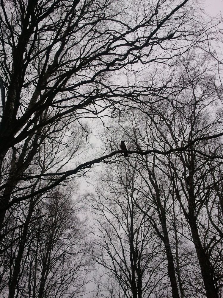 Photograph by Виктория Трач