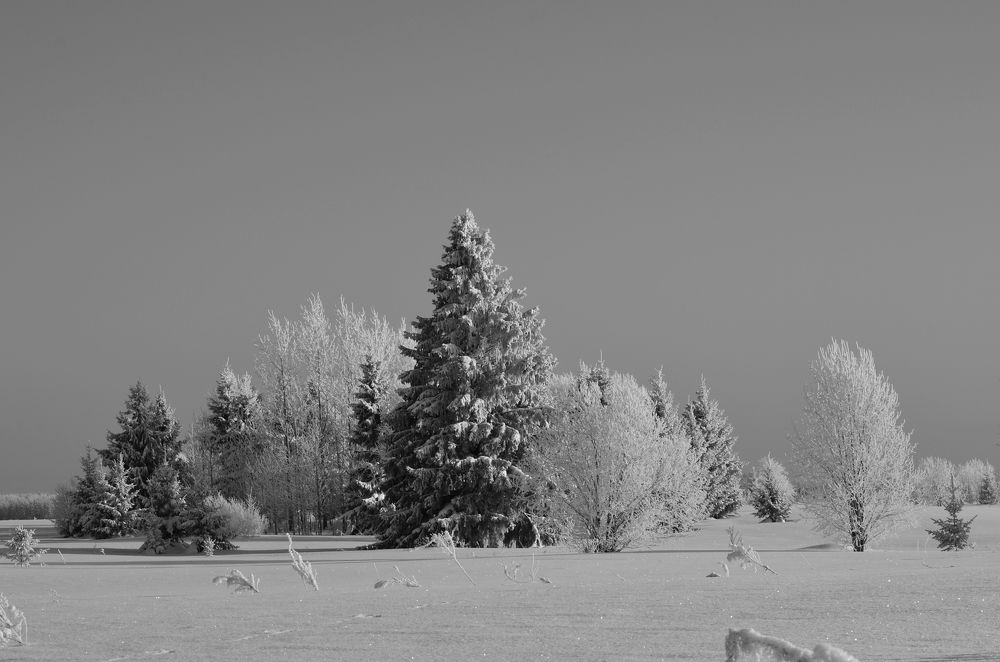 Photograph by Галина Катанова