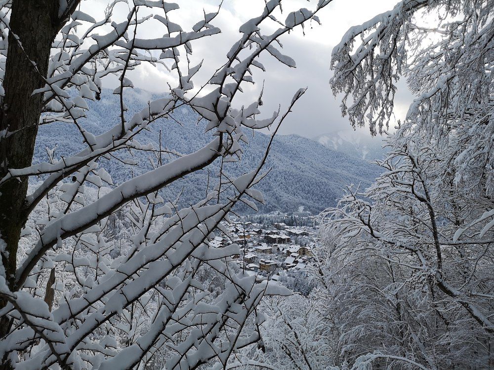 Photograph by Кристина