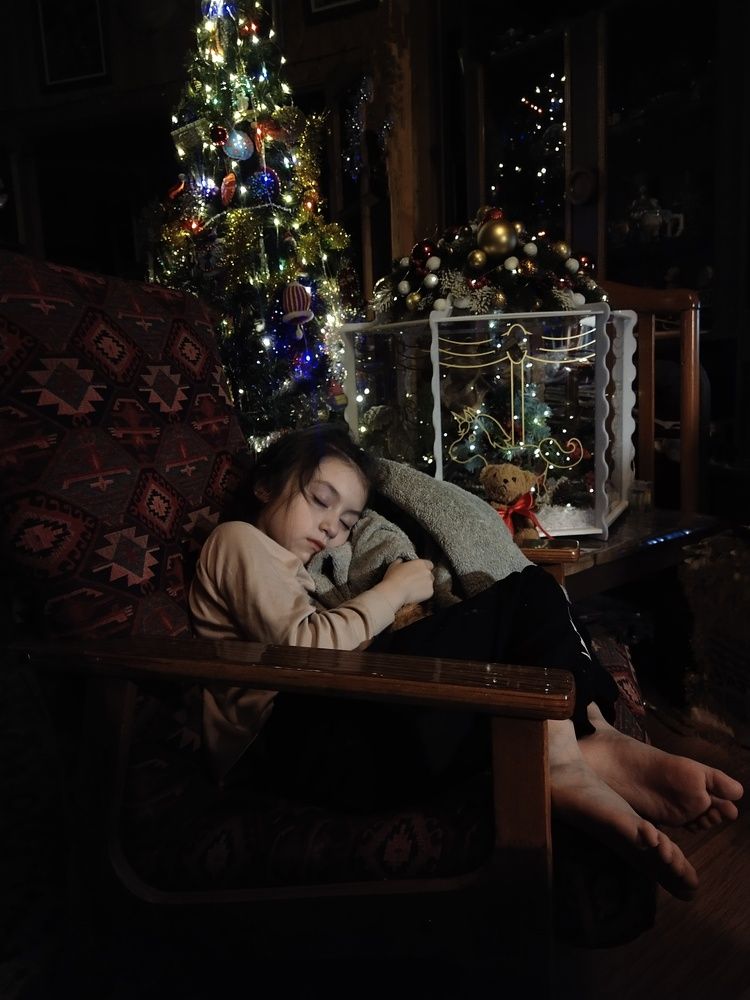 Photo #11629738
