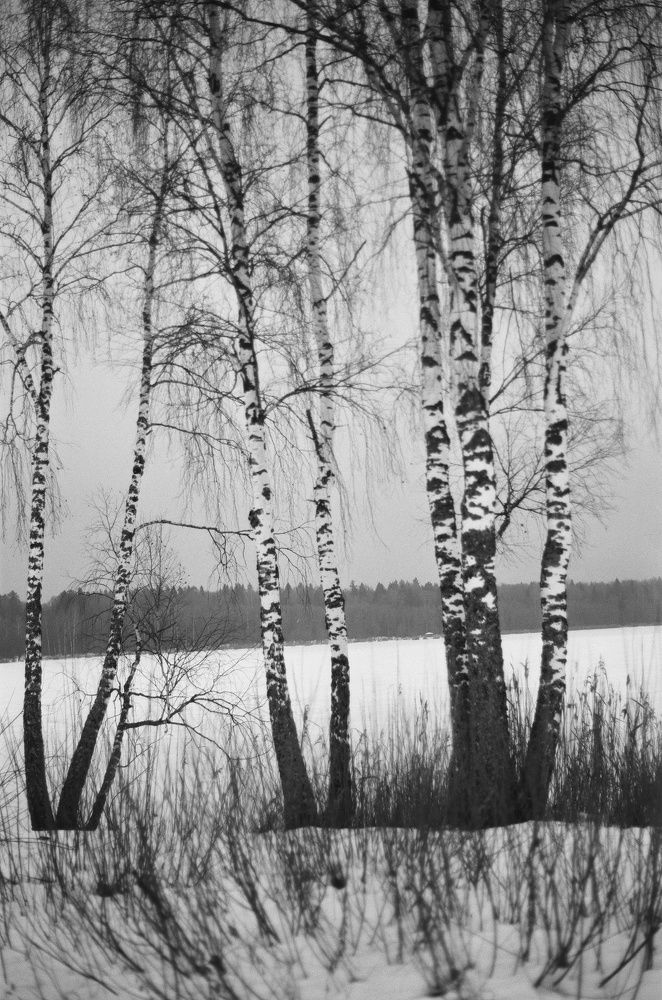 Photograph by Юлия Фомина