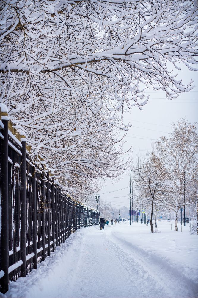 Photograph by Анна Осинцева