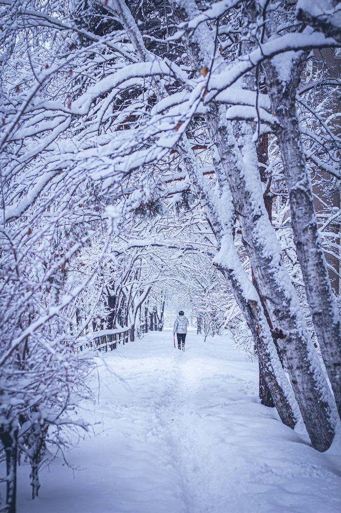 Photograph by Анна Осинцева