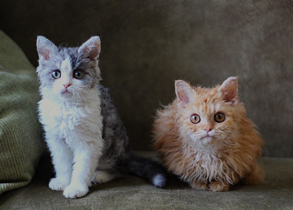 Photograph by Оксана Шарагина