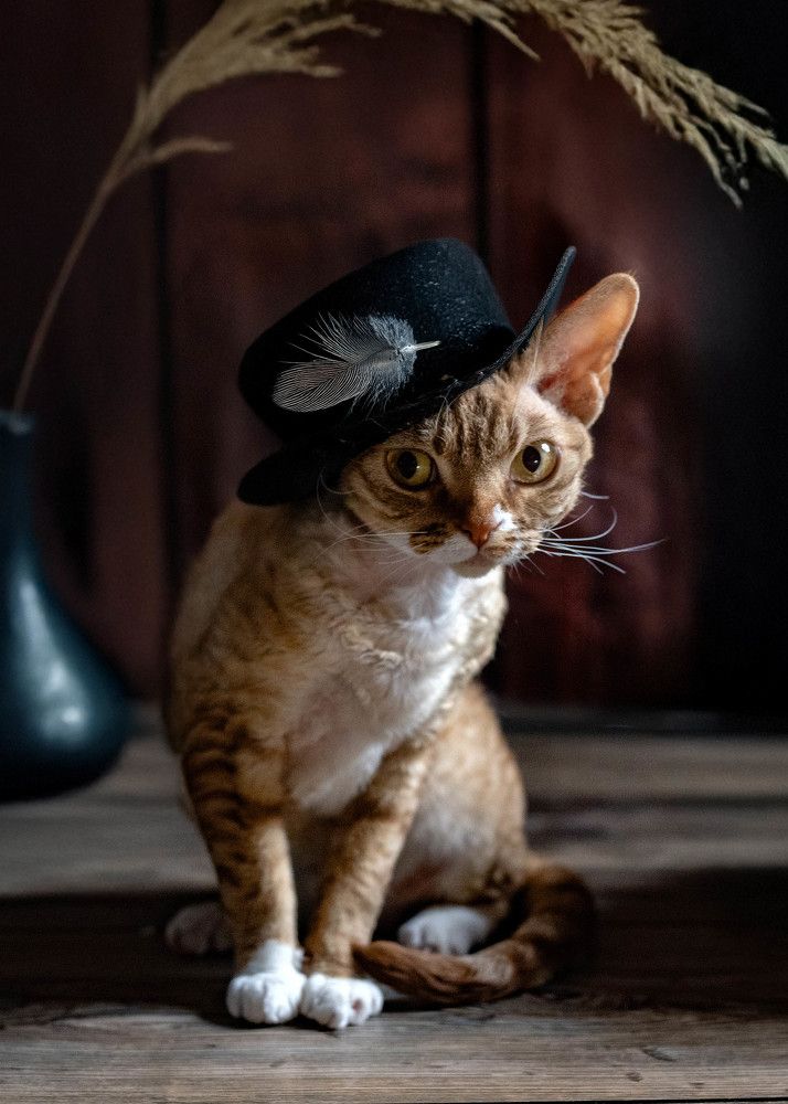 Фотография автора Irina Kozhemyakina