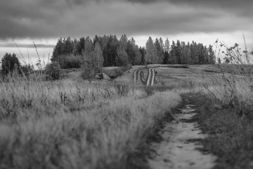 Photograph by Олег Милеев (Каминцев)