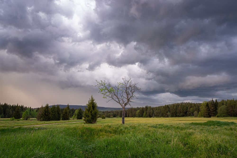 Photograph by Jan Vacek