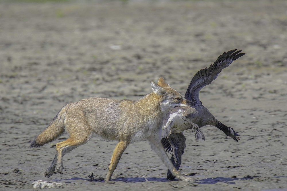 Photograph by ALI Pashang