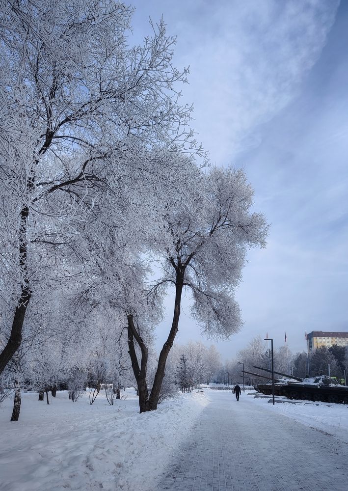 Photograph by Elena Kilina