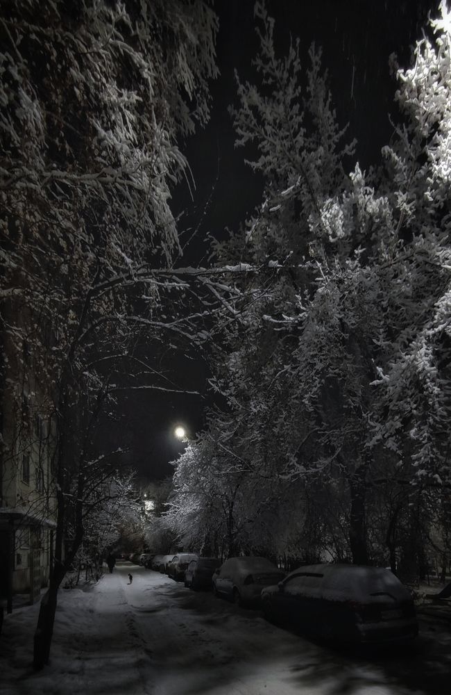 Photograph by Elena Kilina