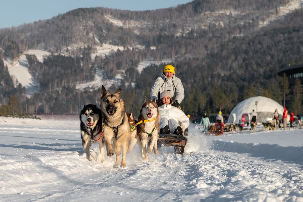 Photograph by Ольга Фесак