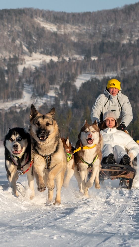 Photograph by Ольга Фесак