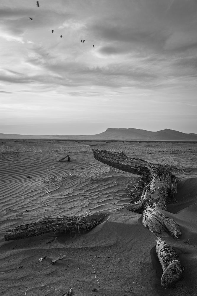 Пустынный берег