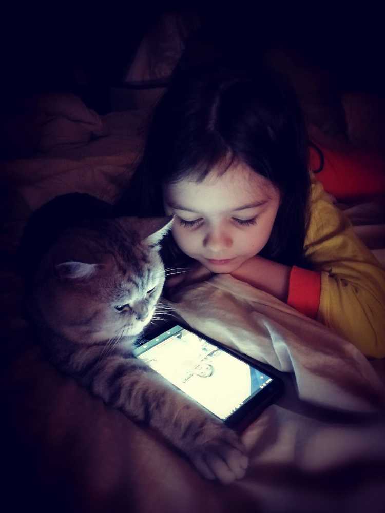 Photograph by Татьяна Борисовская