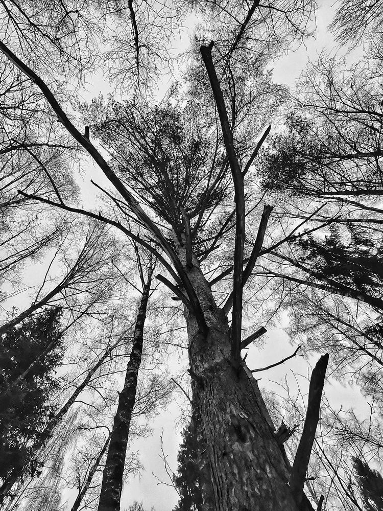 Photograph by Ольга Лукина