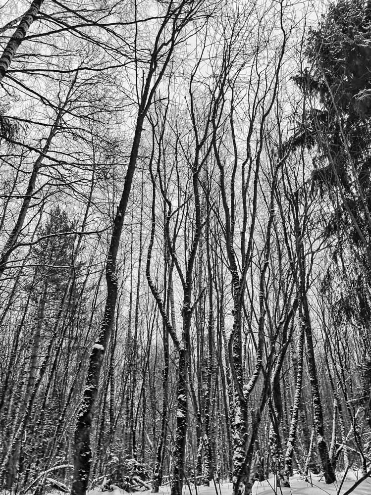 Photograph by Ольга Лукина