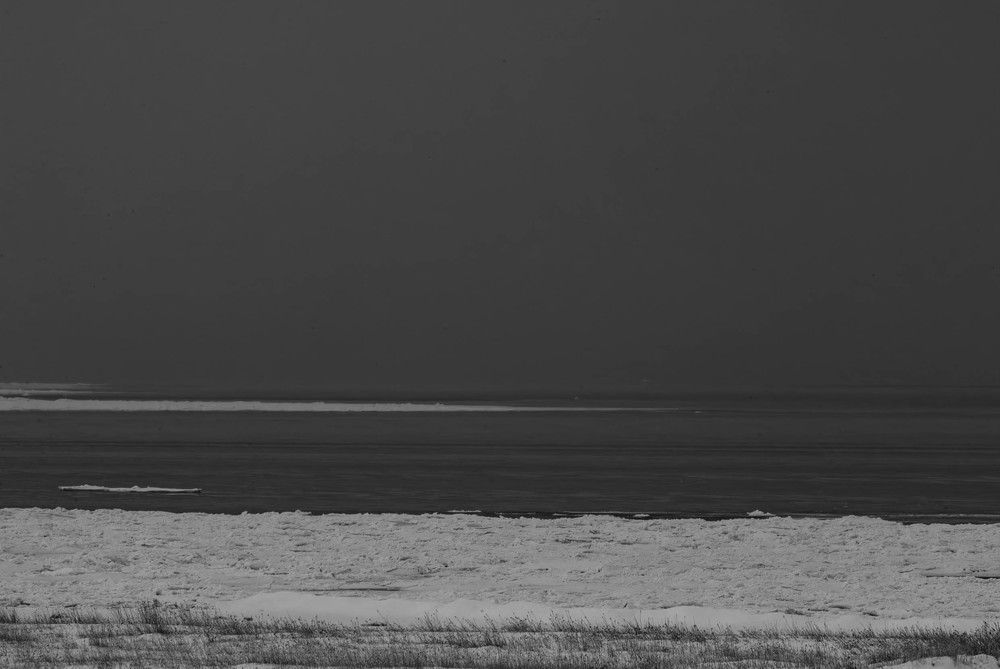 Photo #11630062