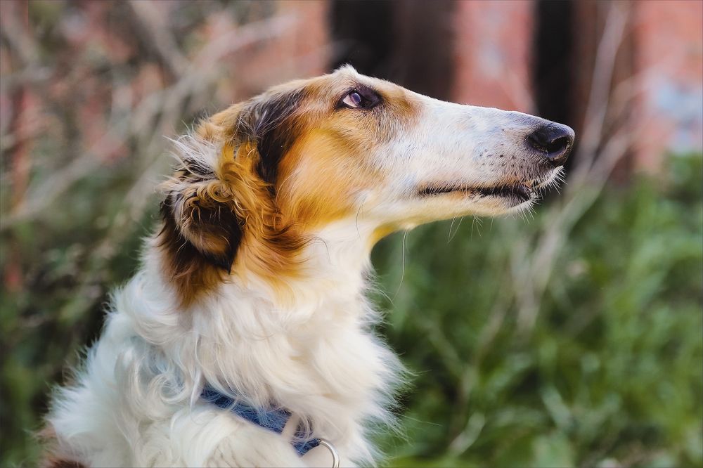 Photograph by Игорь Майоров