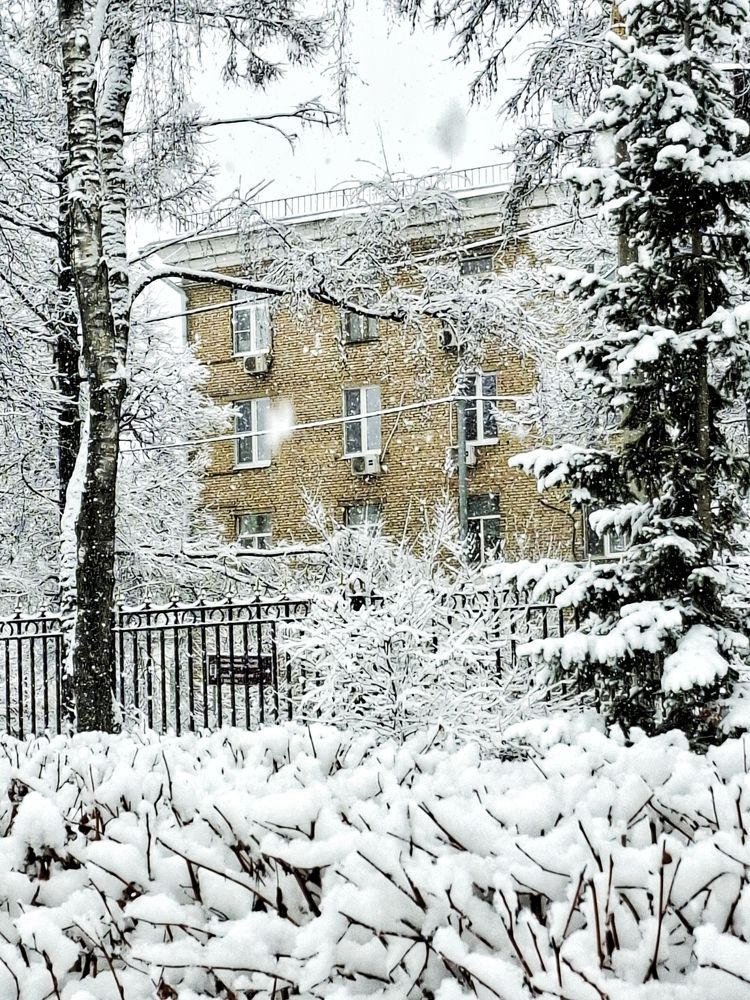 Photograph by Денис Прохоров