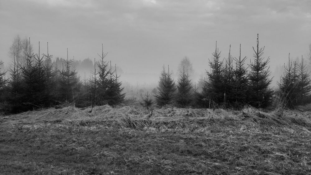 Photograph by Михаил Трусов