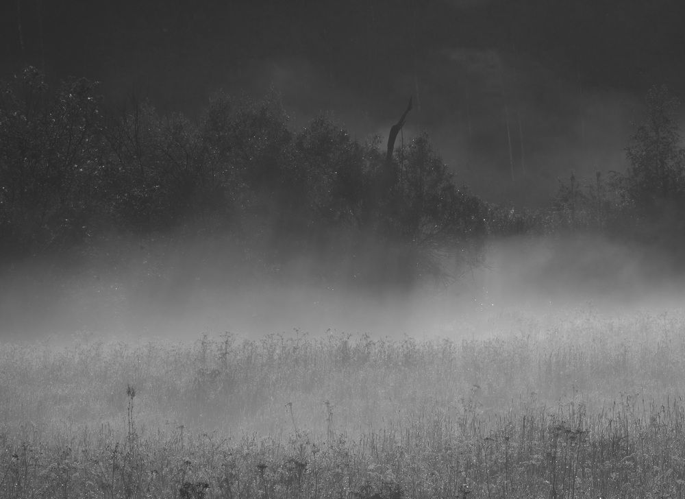 Photograph by Михаил Трусов