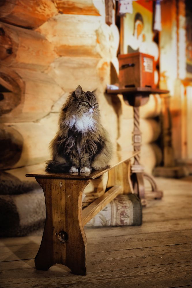 Photograph by Игорь Майоров