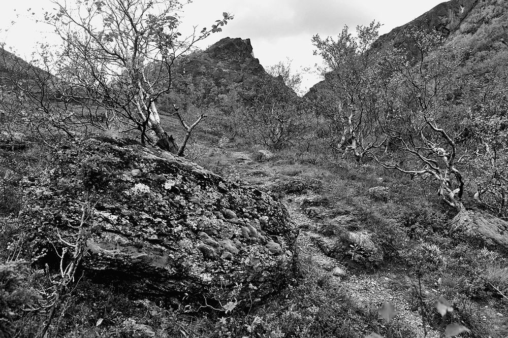 Горная тропа