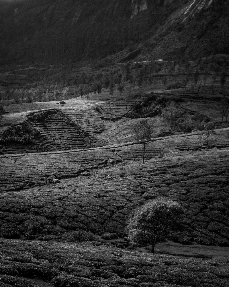 Photograph by Vyshagen S