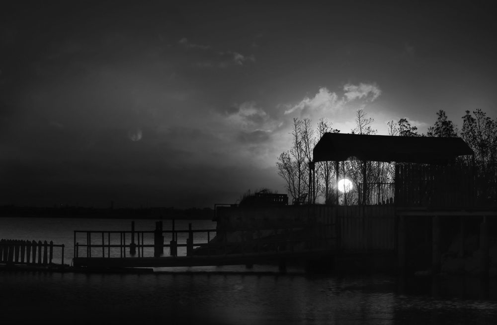 Фотография автора Elshafei Salih