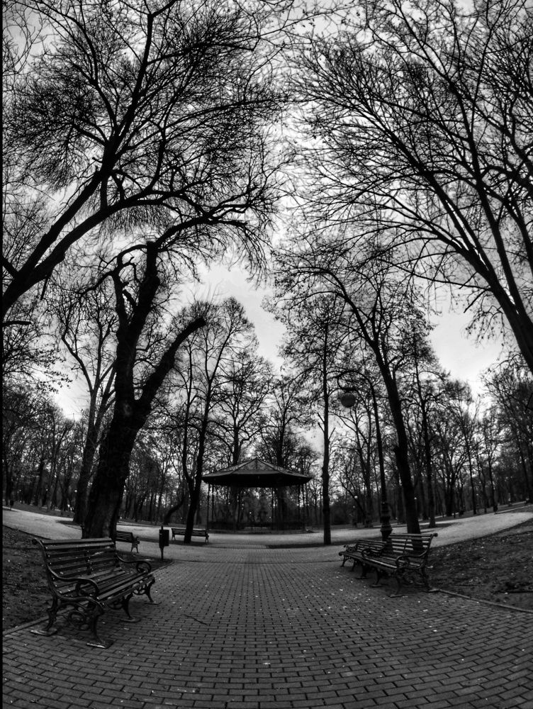 Photograph by Cornelia Ilie