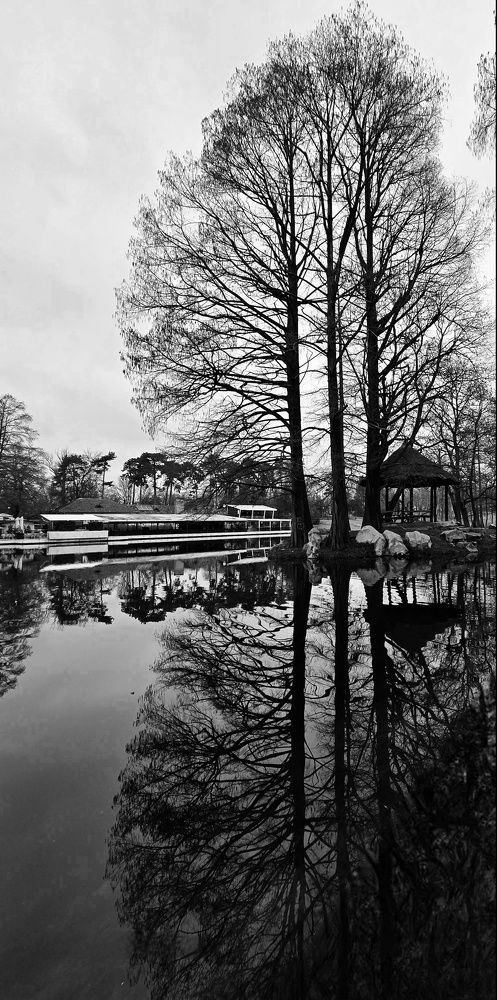 Photograph by Cornelia Ilie