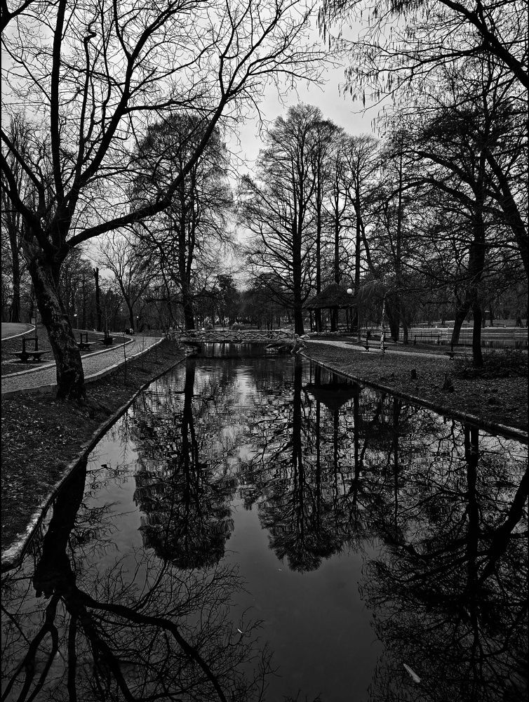 Photograph by Cornelia Ilie