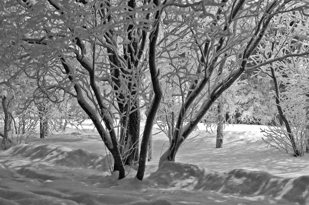 Морозная рождественская ночь