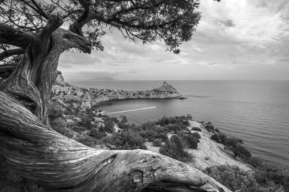 Photograph by Илья Юфа