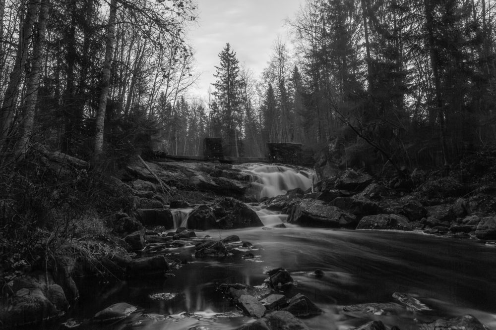 Photograph by Дмитрий Макинский