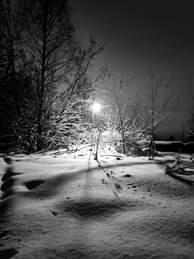 Photograph by Любовь Бусова