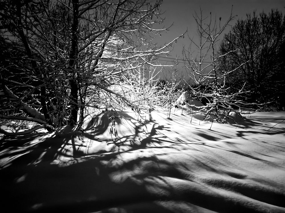 Photograph by Любовь Бусова