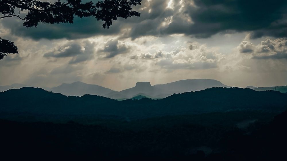 Photograph by M. Maleesha Sathsara Perera