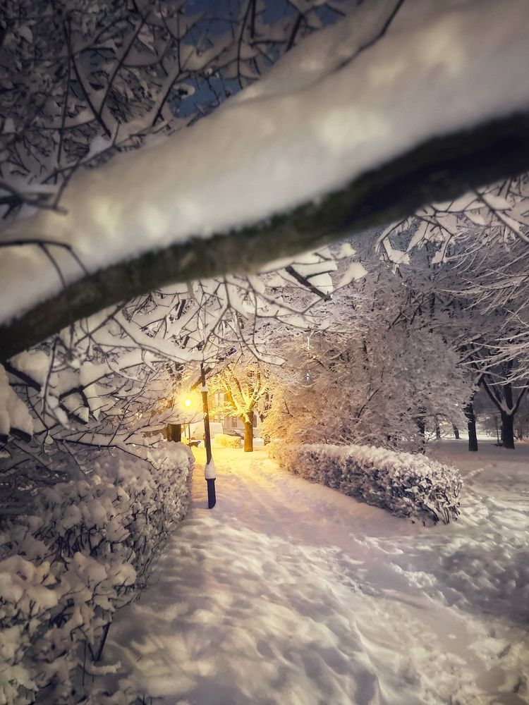 Photograph by Елена Спиридонова