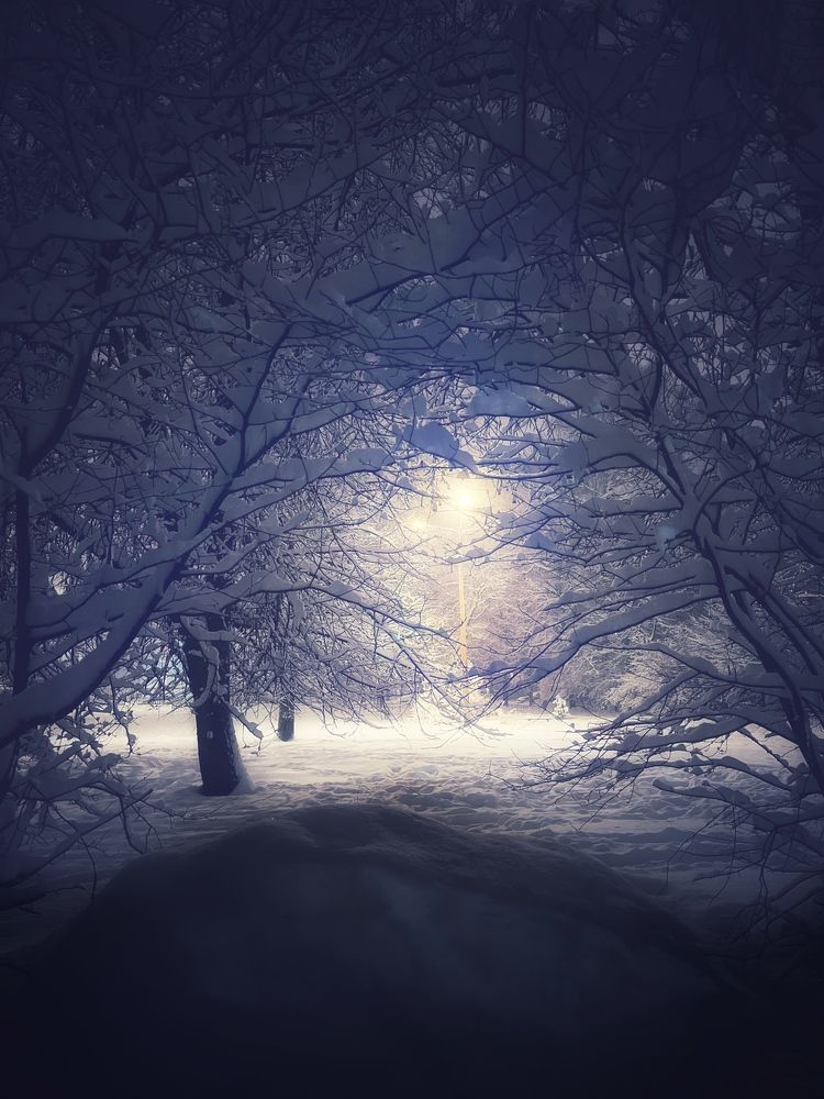 Photograph by Елена Спиридонова