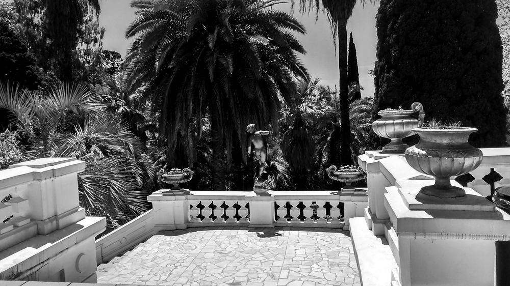 Фотография автора Юлия Сурина